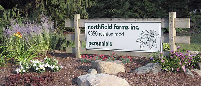 Northfield Farms Inc.